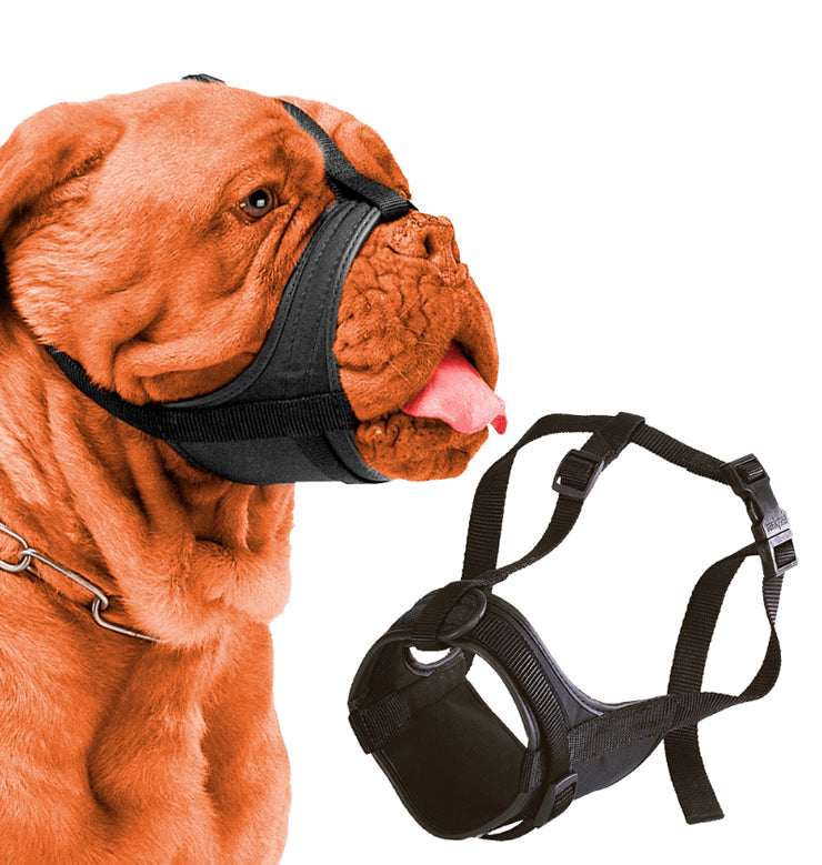 Safe Boxer