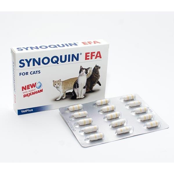 Vet Bros - Synoquin EFA Cat