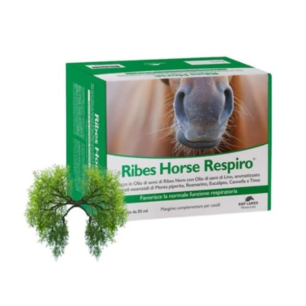 NBF Lanes - Ribes Horse Respiro