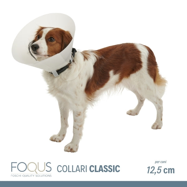 Foschi Srl - Collare FOQUS Elisabetta Classic