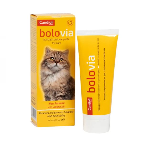 Candioli - Bolo Via Pasta