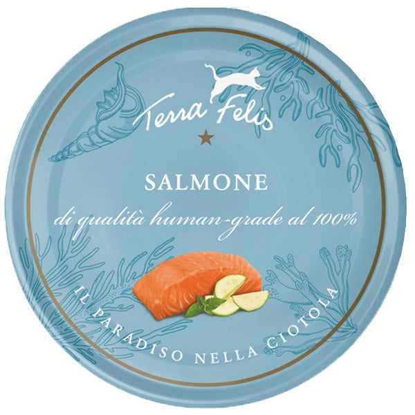 Terra felis - Adult Salmone