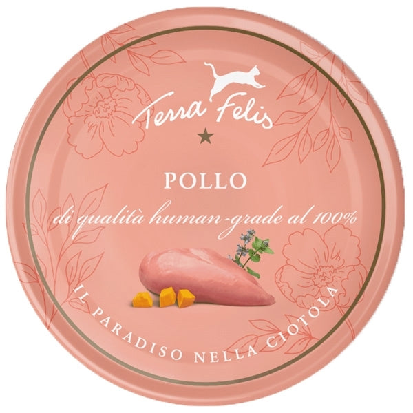 Terra felis - Adult Pollo