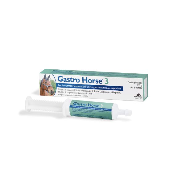 NBF Lanes - Gastro Horse 3