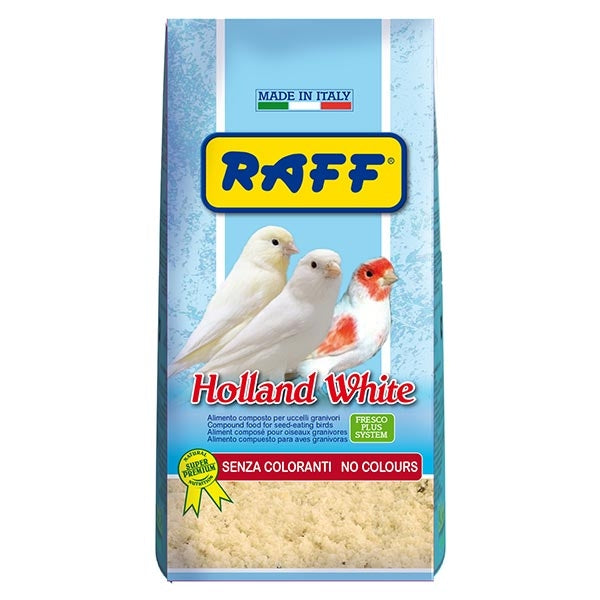Raff - Holland White