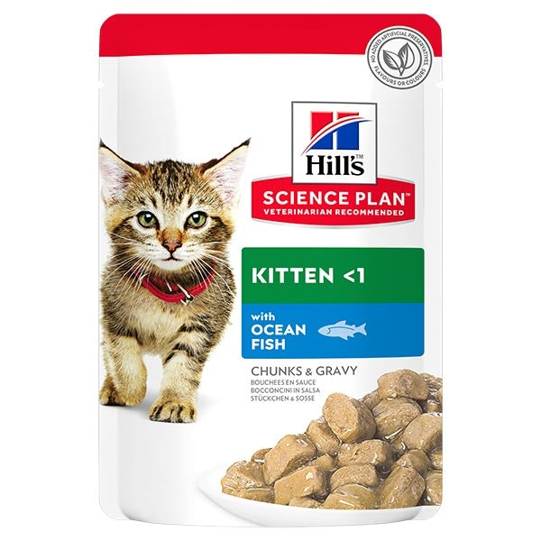 Hill's - Science Plan Kitten con Pesce Oceanico