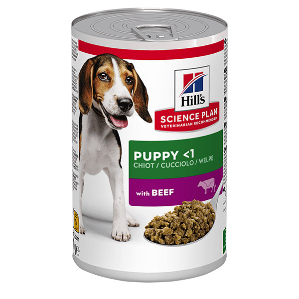Hill's - Science Plan Puppy con Manzo