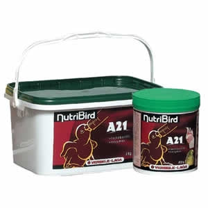Versele-Laga - NutriBird A21 Pappa da Imbecco