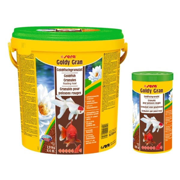 Sera - Goldy Gran