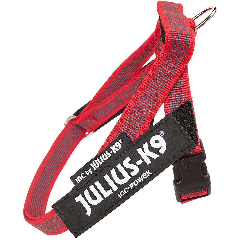 JULIUS K9 - Pettorina per Cani Julius-k9 IDC Color & Gray Belt Harness Colore Rosso