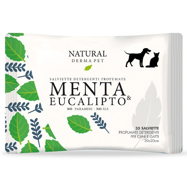 Derbe - Salviette Detergenti Profumate alla Menta & Eucalipto