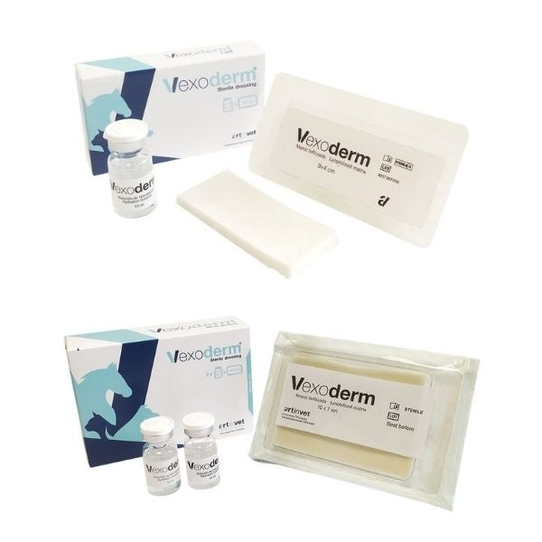 Bfactory - Vexoderm