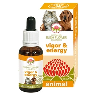 Green Remedies spa - Vigor & Energy