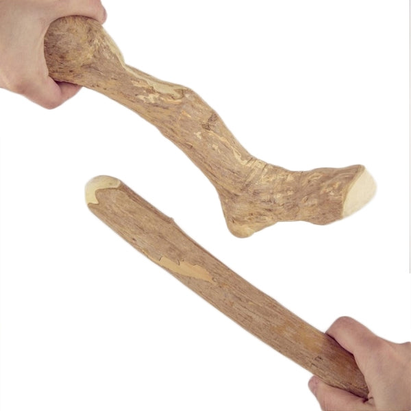 canophera gmbh - Legno da Masticare Albero del Caffè