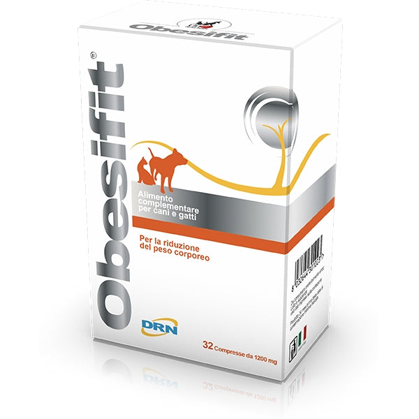 Drn - Obesifit