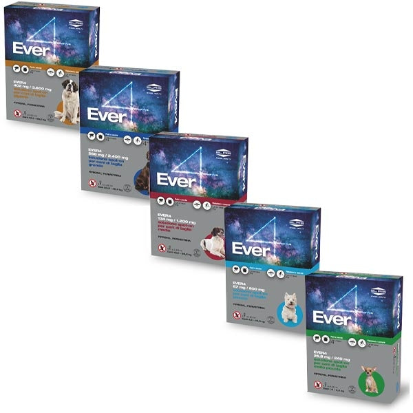 Slais - Ever4 Spot-On per Cani 4 Pipette
