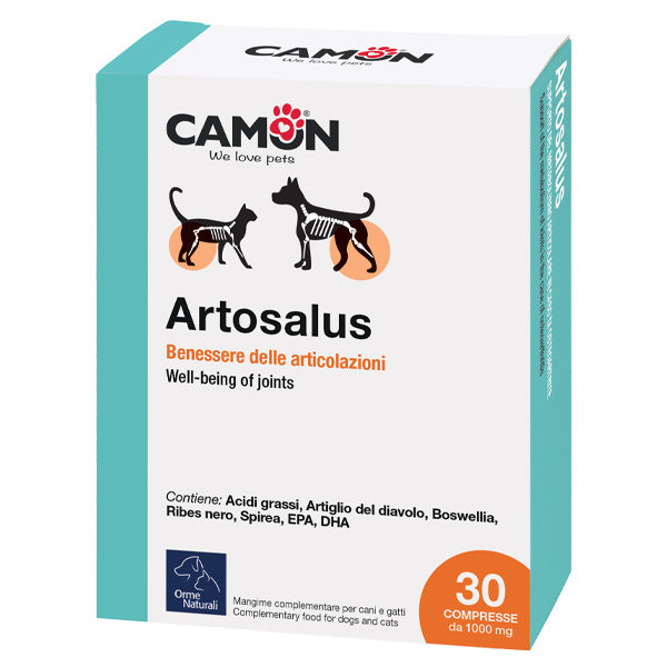 Camon - Artosalus