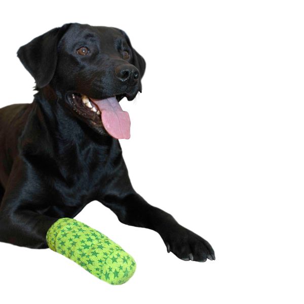 Kruuse - Fascia Fun-Flex Pet