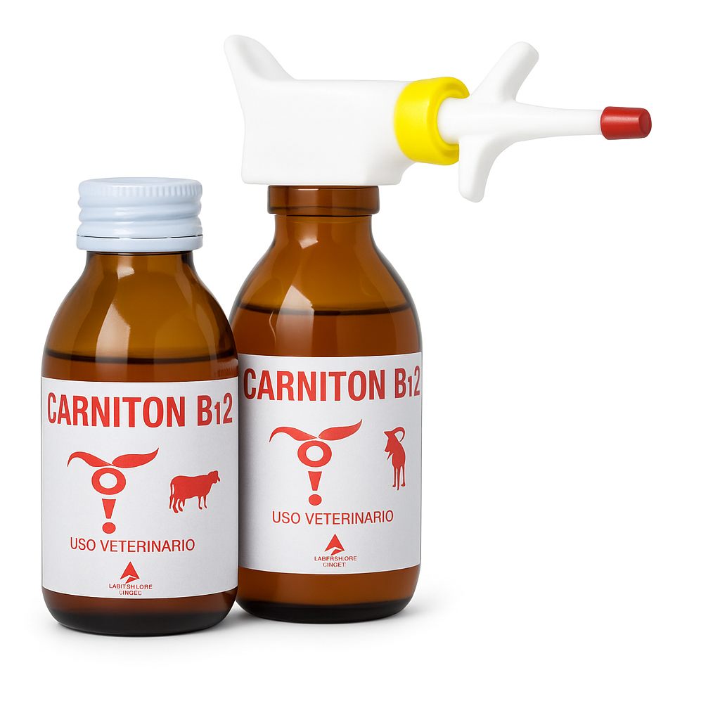 Acme - Carniton B12 Pet