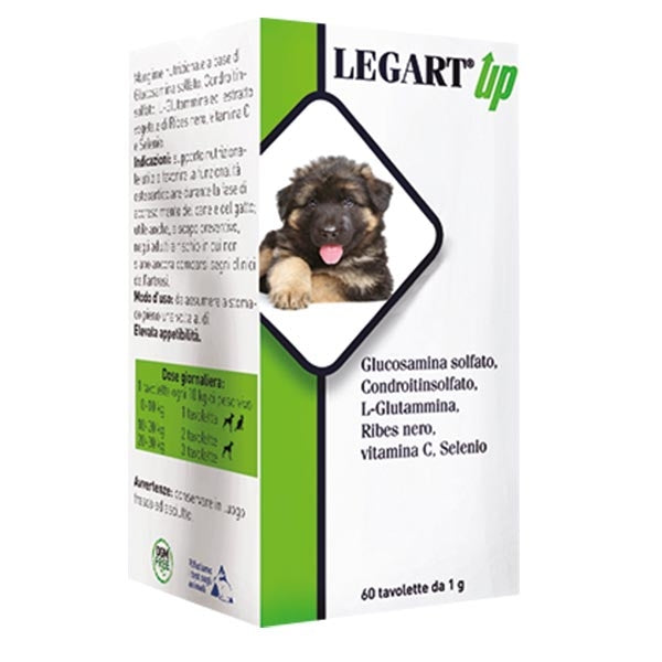 Aurora Biofarma - Legart Up