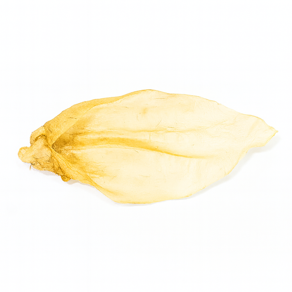 Gusto - Snack Orecchie di Bovino 100% Essicato