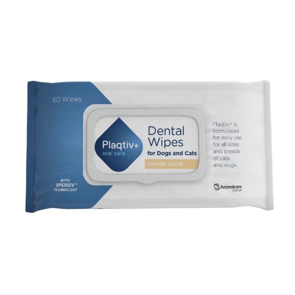 Ecuphar NV - Salviette Dentali Plaqtiv+ Oral Care 64