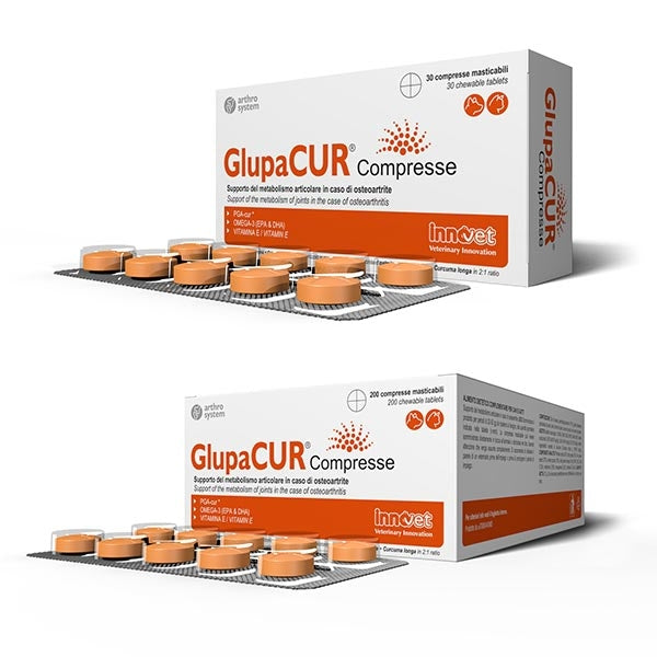 Innovet - Glupacur