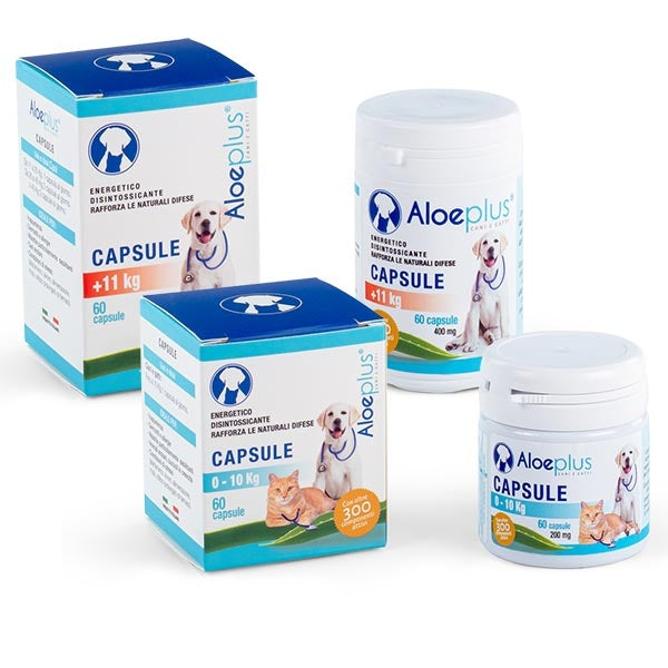 Hdr - Aloeplus Capsule