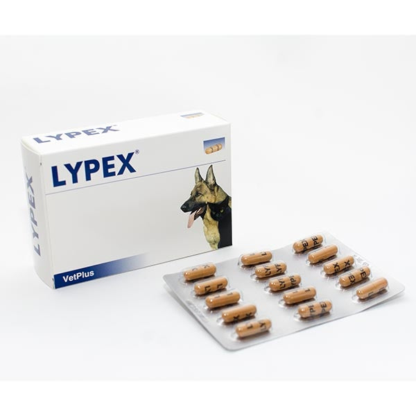 Vet Bros - Lypex Capsule