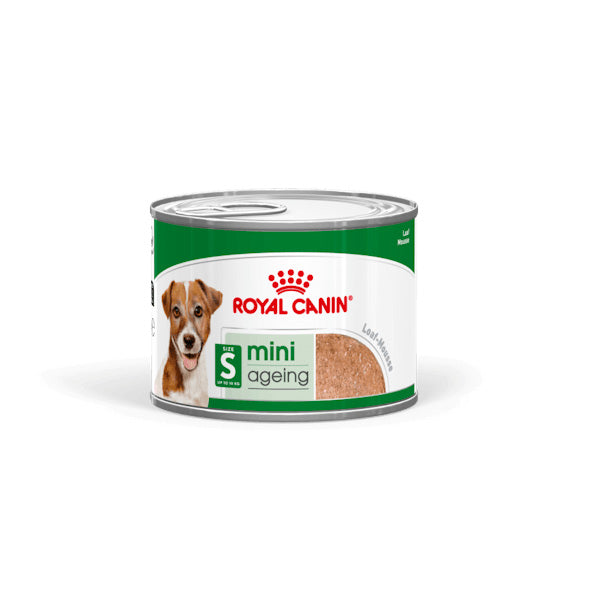 Royal Canin - Mini Ageing Umido Lattina 8+