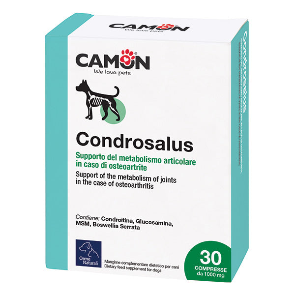 Camon - Condrosalus