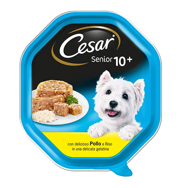 Cesar - Senior 10+ Pollo e Riso in Gelatina