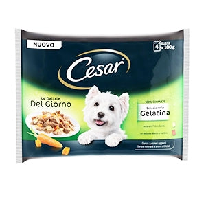 Cesar - Delizie del Giorno Multipack Selezione in Gelatina