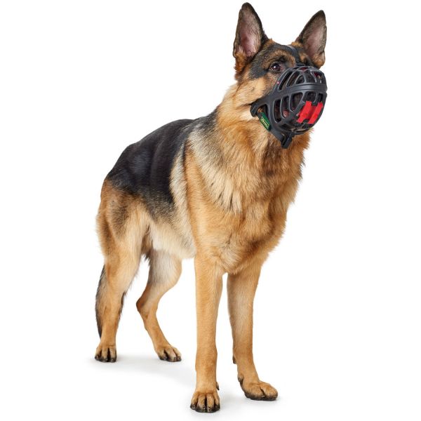 Hunter - Museruola Rigida per Cani Albury