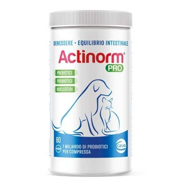 Ceva Salute Animale - Actinorm Pro