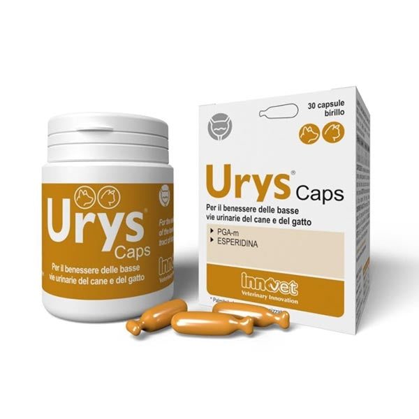 Innovet - Urys Caps