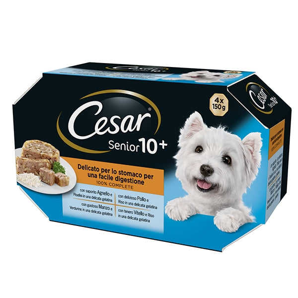 Cesar - Delizie del Giorno Senior 10+ Multipack Selezione in Gelatina