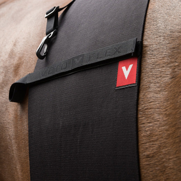 Vetoflex - Fascia equini Classic di rispetto
