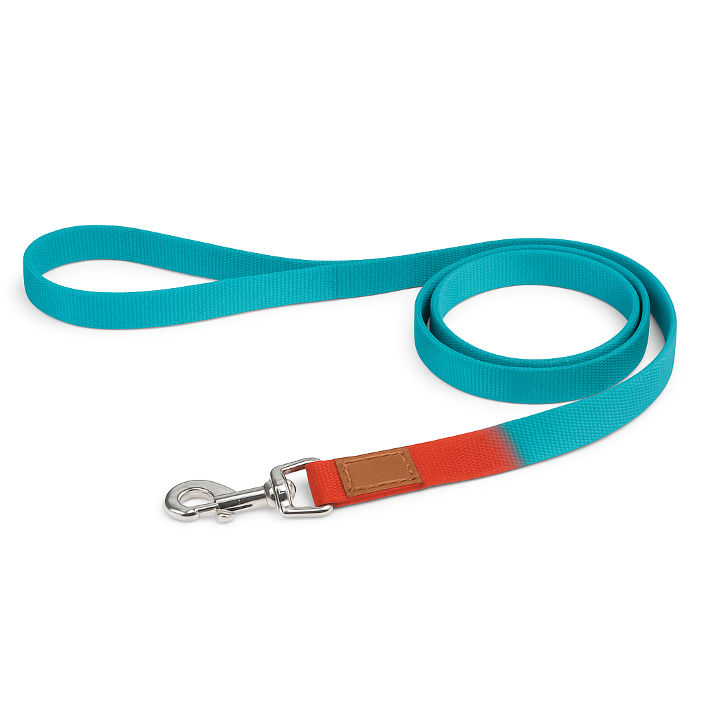 Camon - Guinzaglio Bicolor Rosso e Ottanio