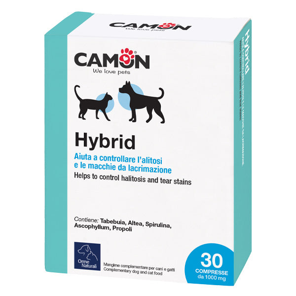 Camon - Hybrid