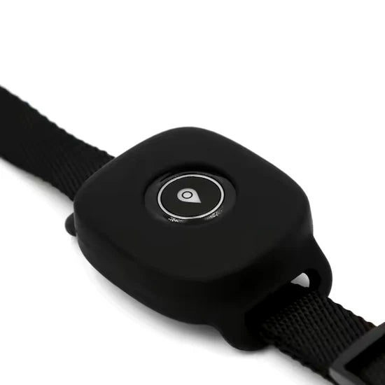 Fido Pet 4G - Tracker GPS per cani e gatti