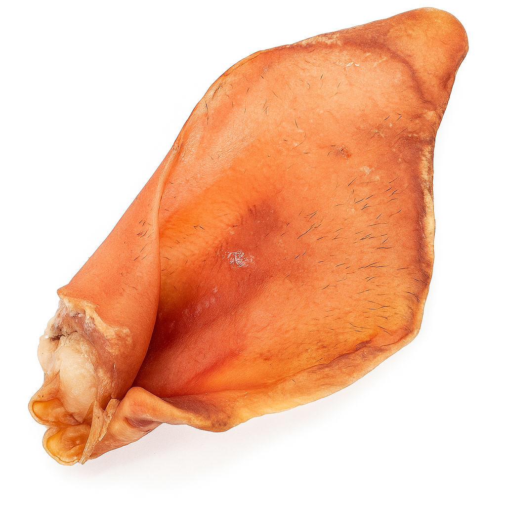 Gusto - Snack Orecchio di Suino Rossa 100% Essicato
