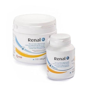Candioli - Renal N
