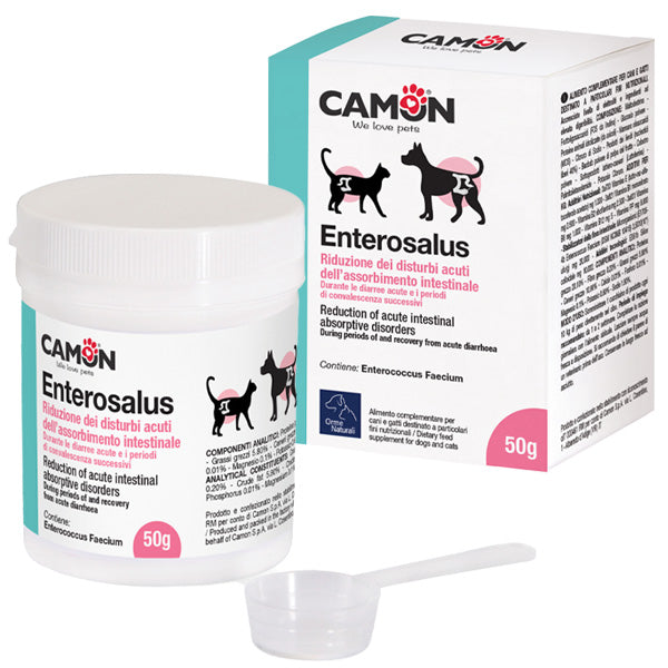Camon - Enterosalus