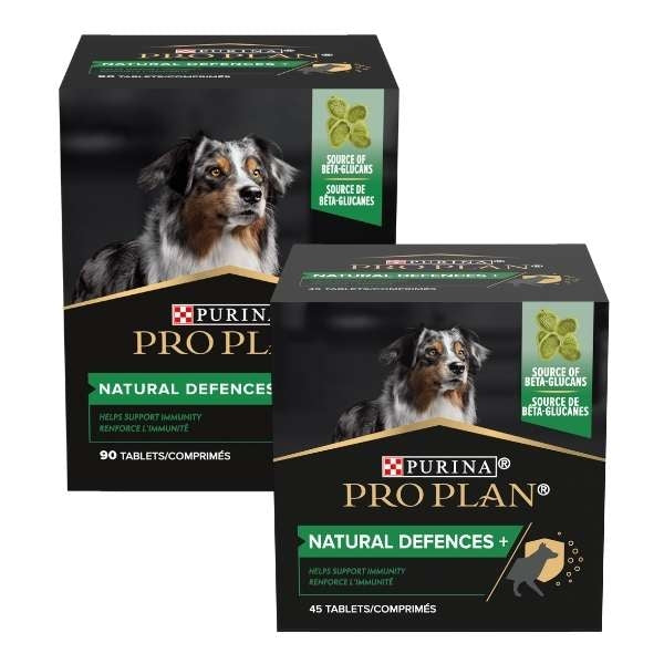 Purina - ProPlan Dog Supplement Defences
