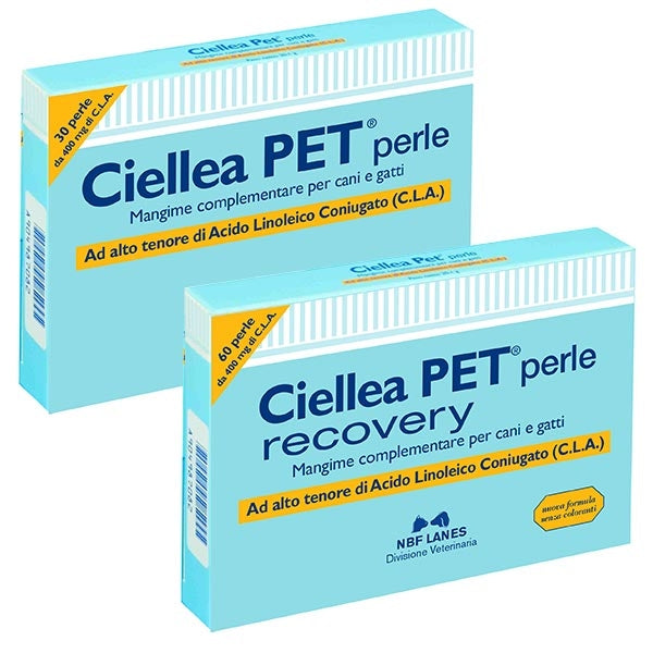 NBF Lanes - Ciellea Pet
