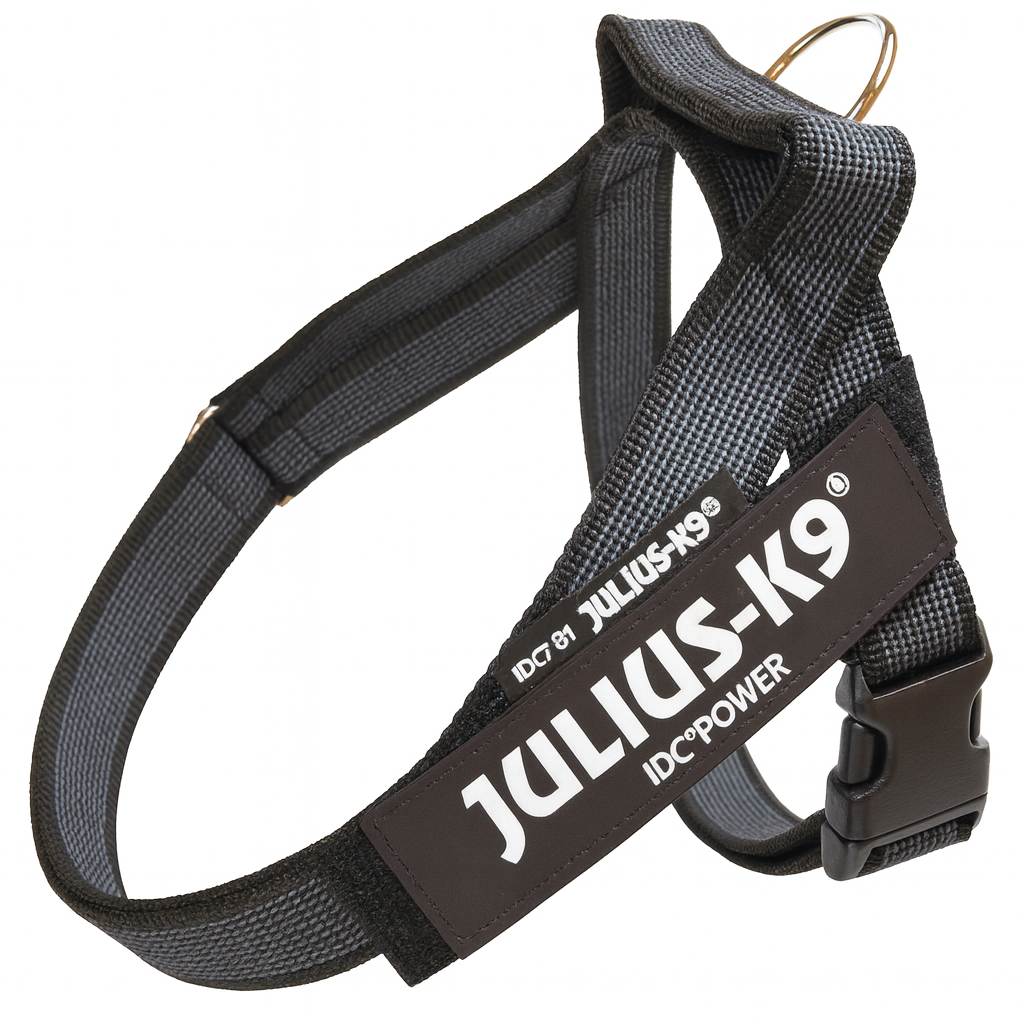 JULIUS K9 - Pettorina per Cani Julius-k9 IDC Color & Gray Belt Harness Colore Nero