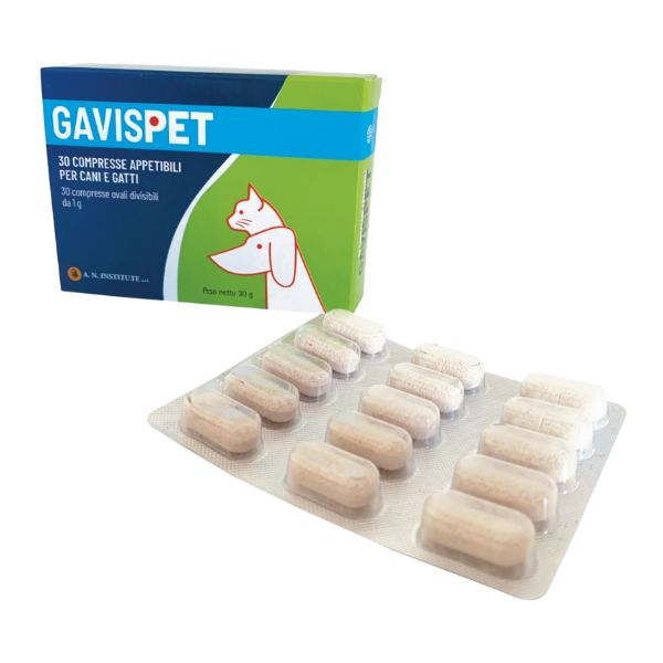 Vet Bros - Gavispet