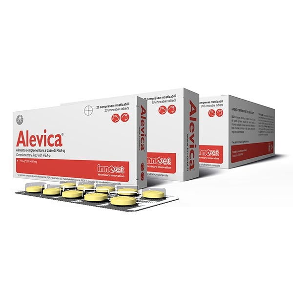 Innovet - Alevica