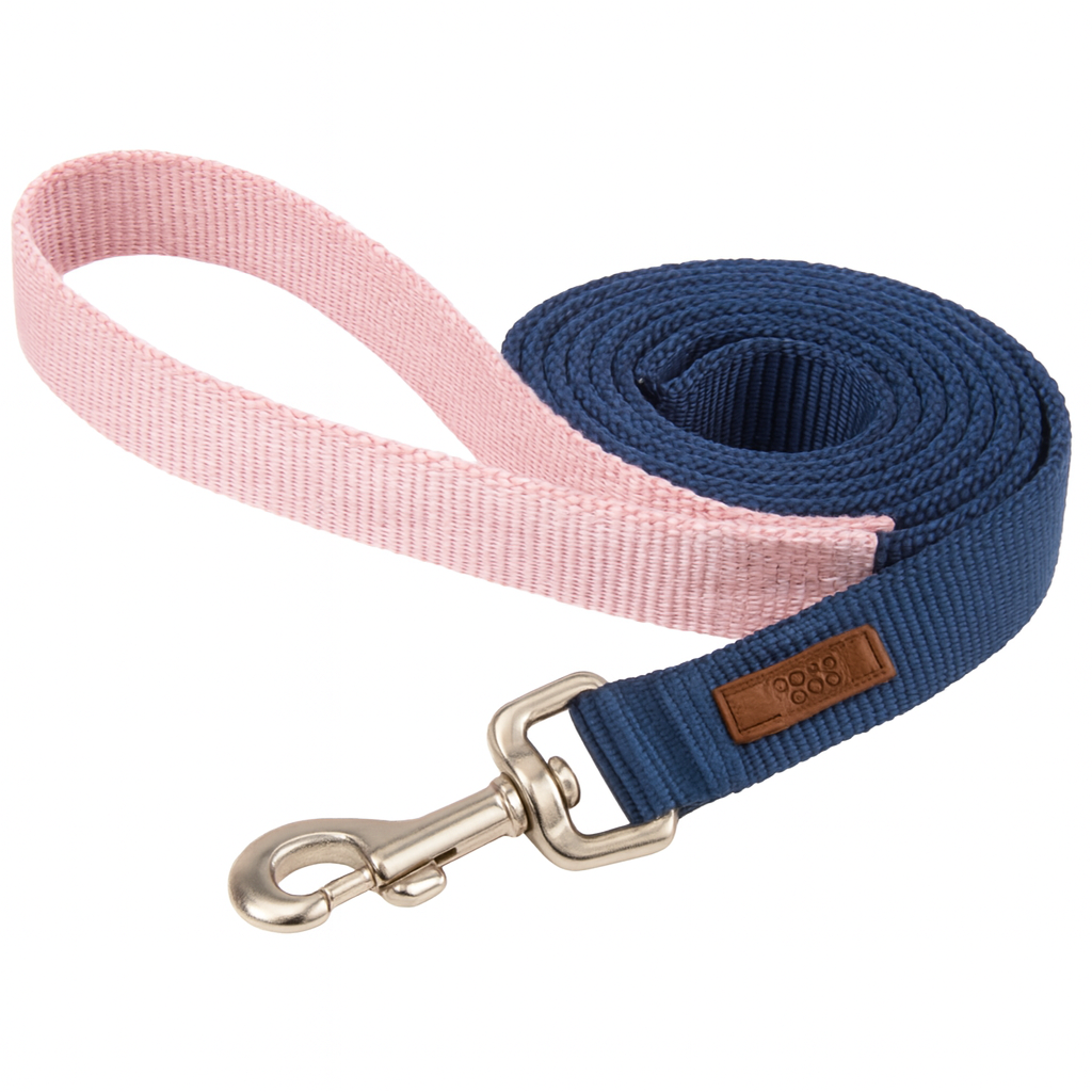 Camon - Guinzaglio Bicolor Blu e Rosa